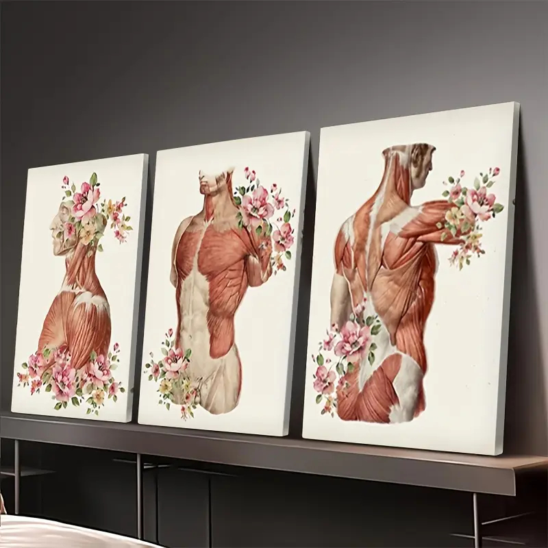Quadro Anatômico Floral Músculos do Corpo Humano - Kit 3 Peças Decorativas Medicina Arte em Oferta na Shopee