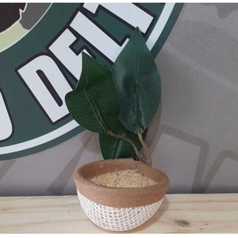 NINHO DE COLEIRO COM MATINHO