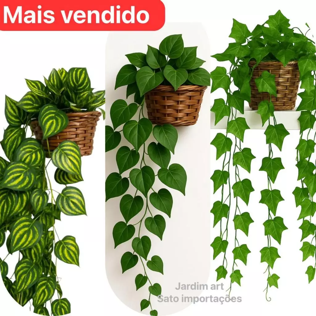 Arranjo c/ 3 Trepadeira Folha de HERA + Vaso Trançado Marrom
