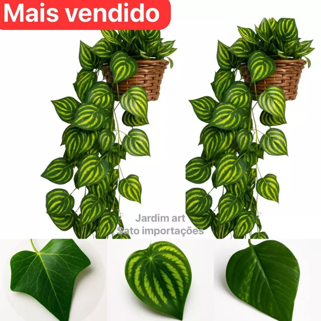 Kit : 3 Trepadeira de Folha De HERA +  1 Vaso Trançado - Arranjo completo — imagem 1