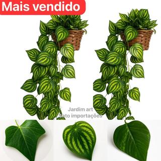 Kit : 3 Trepadeira de Folha De HERA +  1 Vaso Trançado - Arranjo completo