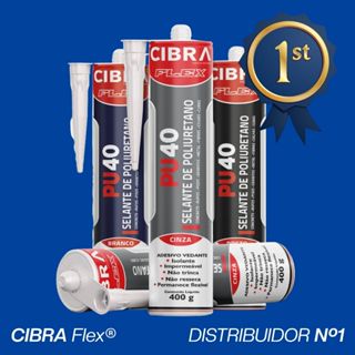 Kit 4-12 Pu40 Cola Selante Silicone Construção 400g Vedação Adesivo Fixa Profissional Madeira Pu 40 em Oferta na Shopee