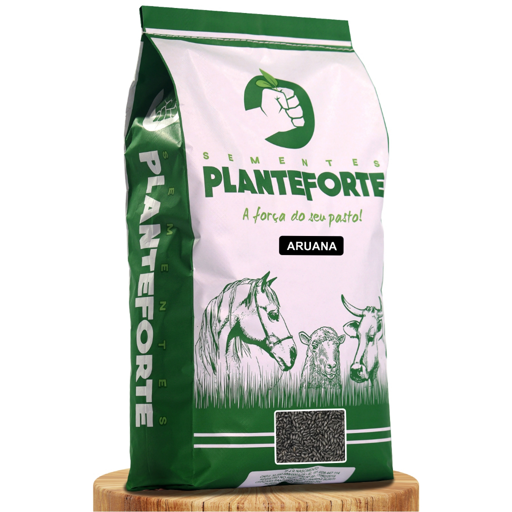 Semente Capim Aruana Incrustada  2kg