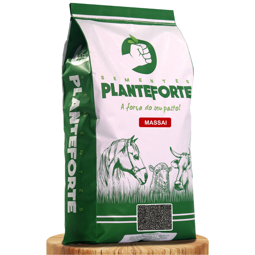 Sementes Capim Massai Incrustada 10kg