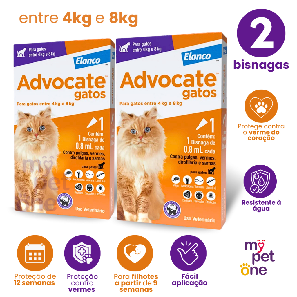 Kit 2 Antipulgas Advocate Elanco 0,8 mL para Gatos de 4 a 8 Kg - 1 Bisnaga