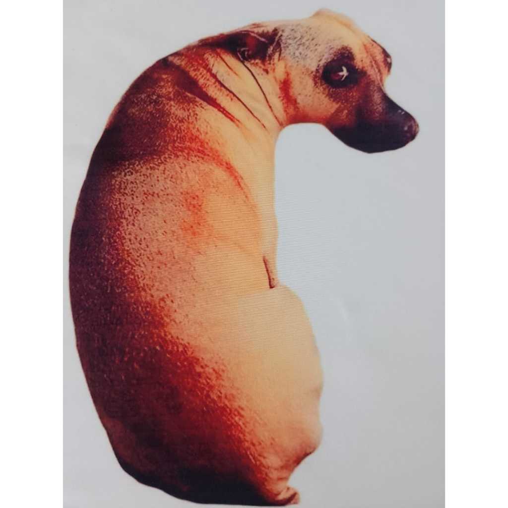 Almofada divertida, caramelo, meme, presente. Tamanho 25 cm altura.