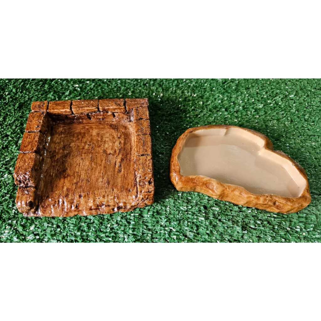 Kit Jabuti Filhote Comedouro Bebedouro Kit 036 Artexotics