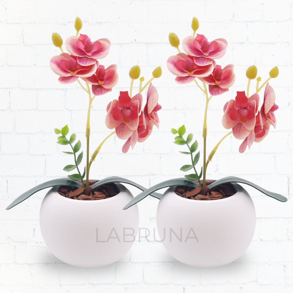 Kit 2 Mini Orquídea Com Vaso de Gesso e Cascas de Pinus Natural