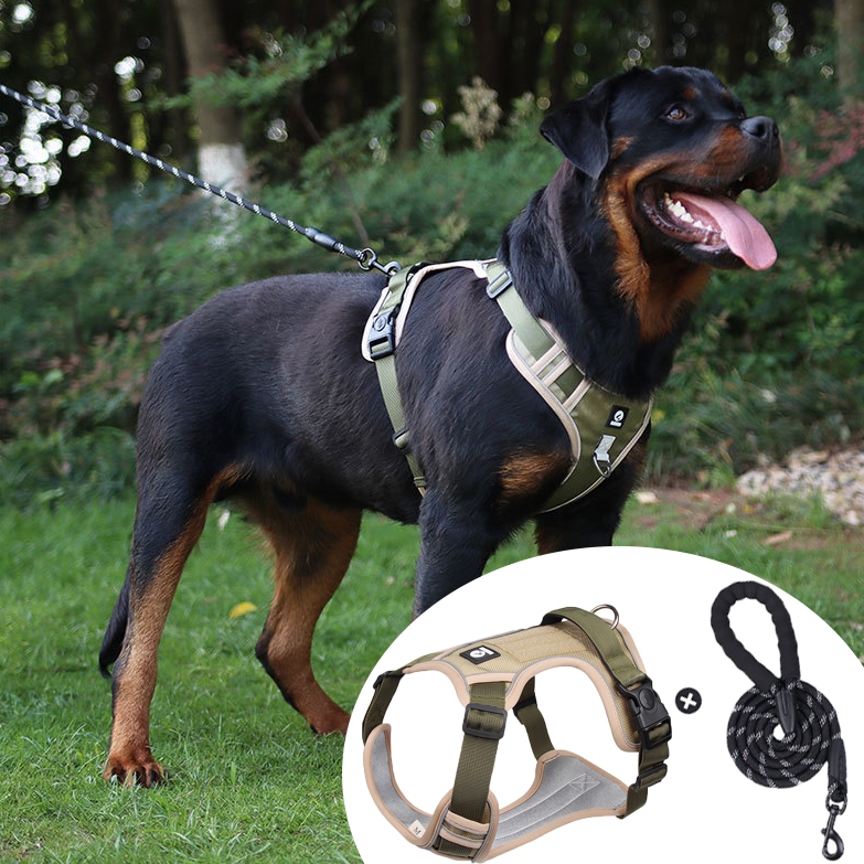 Colete com Pega Coleira Peitoral Para Cachorro Cães Médios Grande Refletivas Ajustáveis De Estimação em Oferta na Shopee