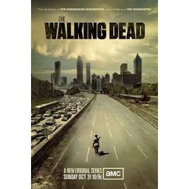 SERIE THE WALKING DEAD DUBLADO COMPLETO