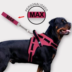 coleira e Guia para cachorro nome personalizado coleira peitoral conforto peiteira sistema amortecedor impacto regulagem