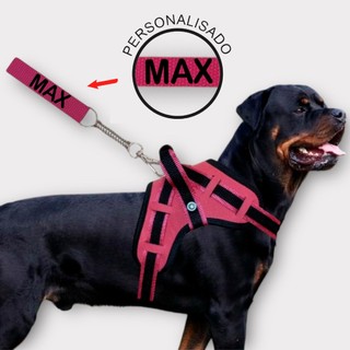 coleira e Guia para cachorro nome personalizado coleira peitoral conforto peiteira sistem…
