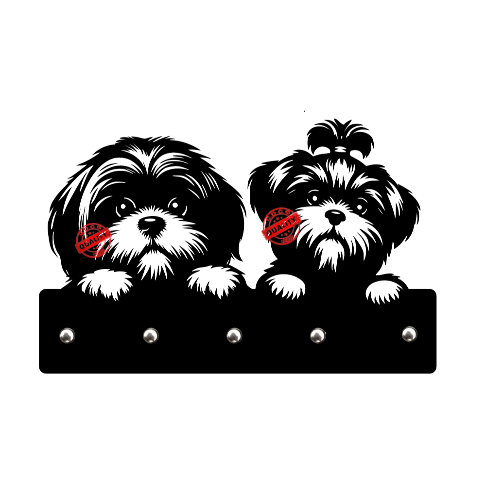 Shih Tzu Preto: Guia Completo e Onde Comprar | BuscaProdutos