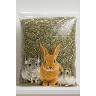 Alfafa Premium para Roedores, Coelhos, Porquinho-da-índia, Hamster 1kg a 5kg em Oferta na Shopee