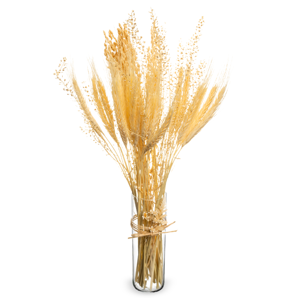 Arranjo com Trigo Desidratado Natural |  Arranjo Decorativo para Sala, Quarto e Escritório