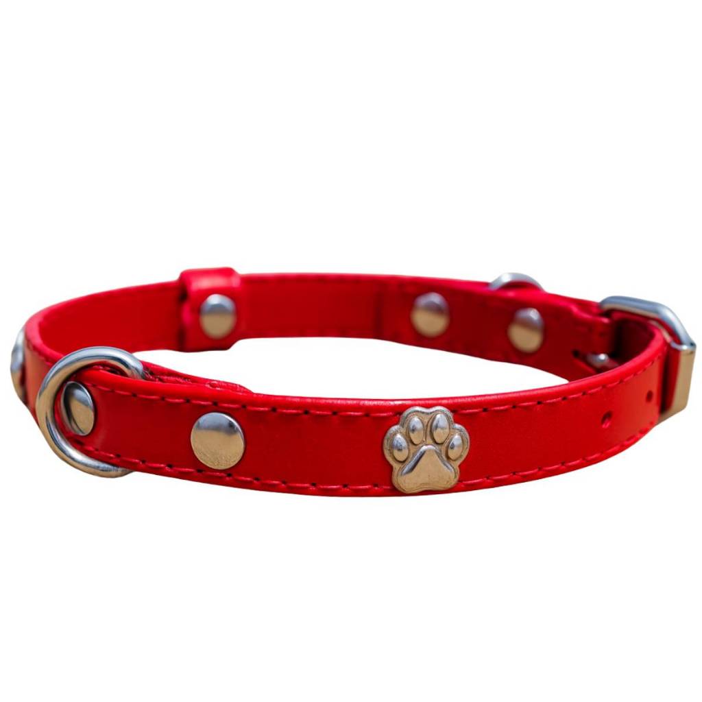 Beagle: Guia Completo e Onde Comprar | BuscaProdutos