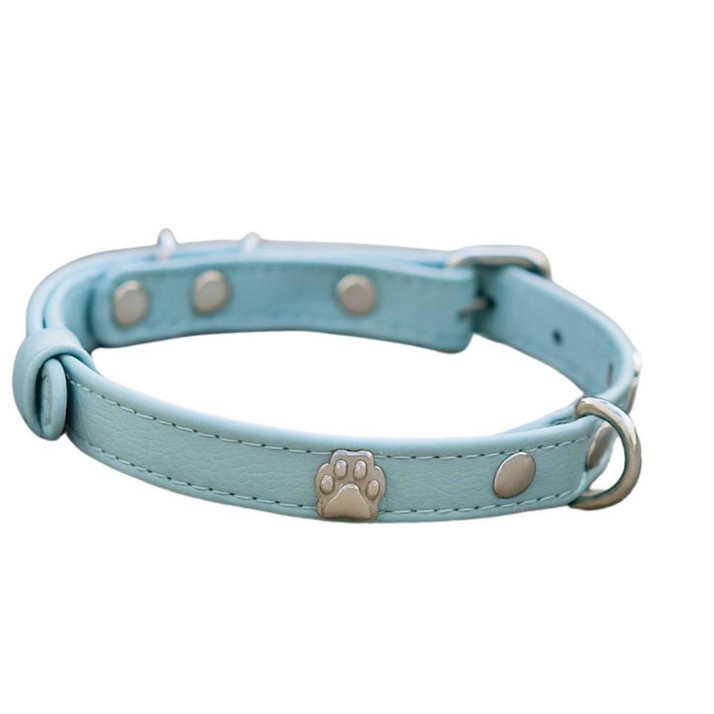 Coleira Cachorro Couro Azul Pet Fina Filhote Estilosa Delicada Animal de Estimação Luxo Premium Pug