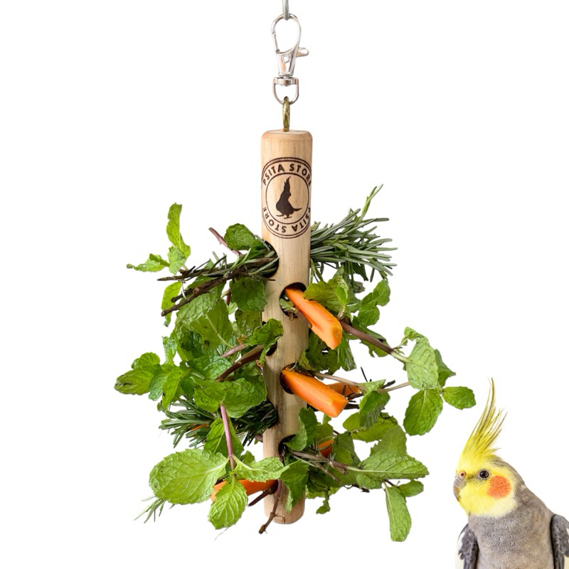 Pendura Rango para calopsitas, RingNeck e Agapornis, Comedouro Psita Store em Oferta na Shopee