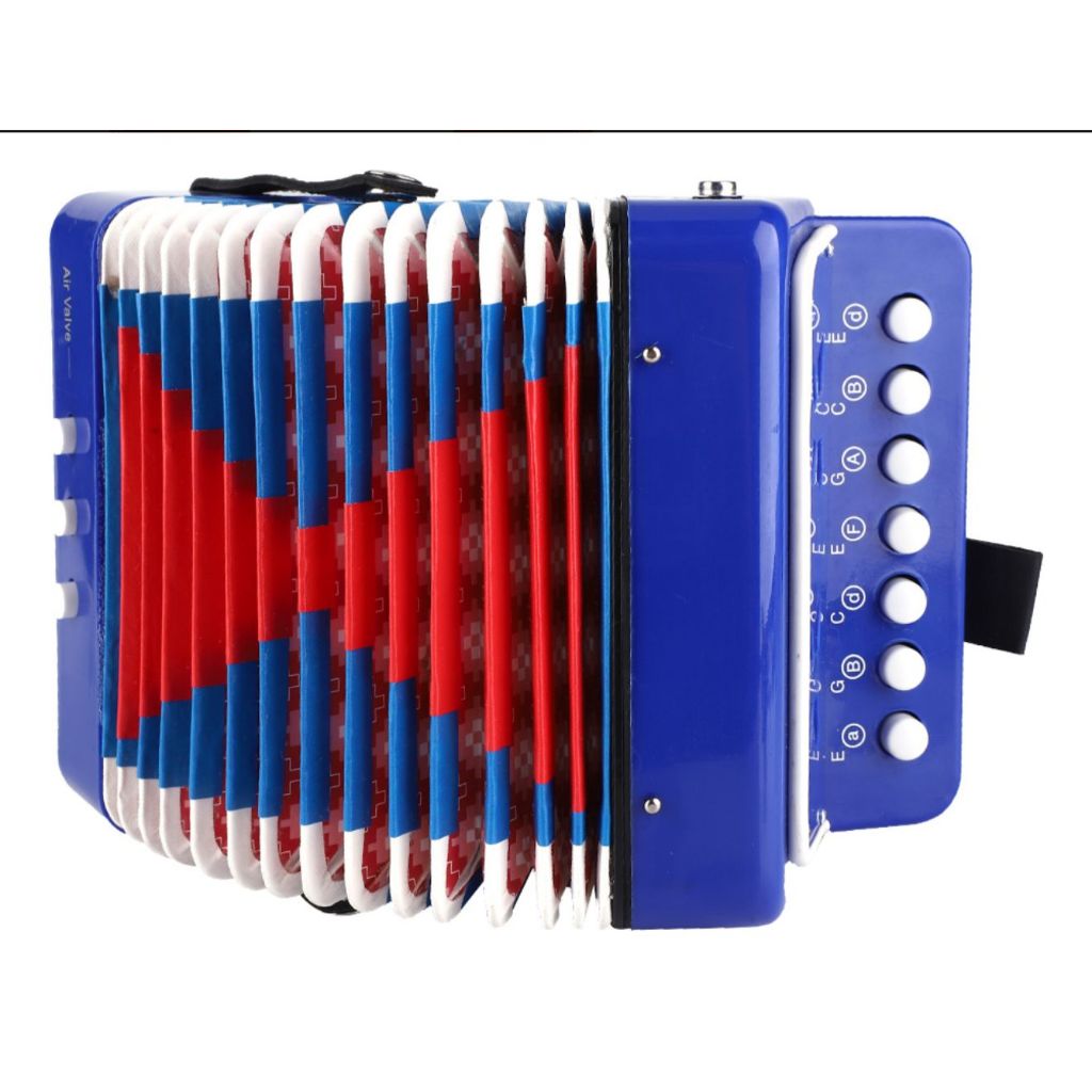 Mini Sanfona Acordeon Infantil Gaita Brinquedo