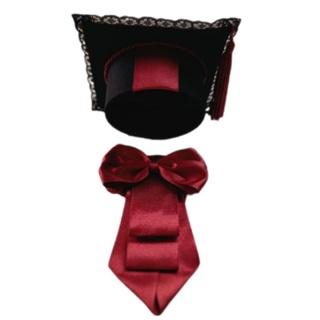 kit chapéu e gravata/formatura/cães e gatos em Oferta na Shopee