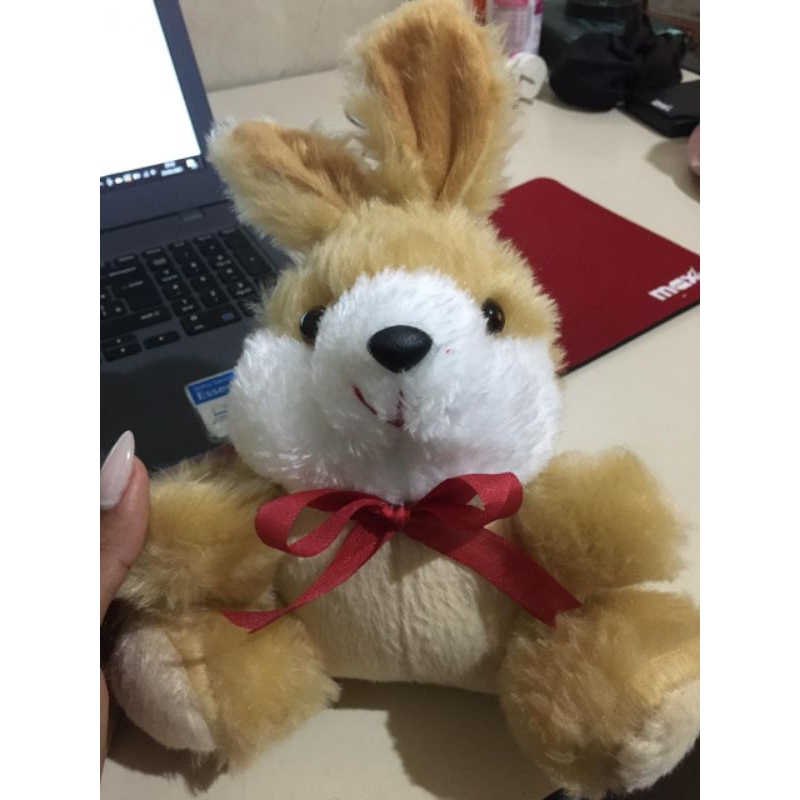 Coelho de pelúcia 24cm de altura.ideal para cestas, com várias cores em Oferta na Shopee