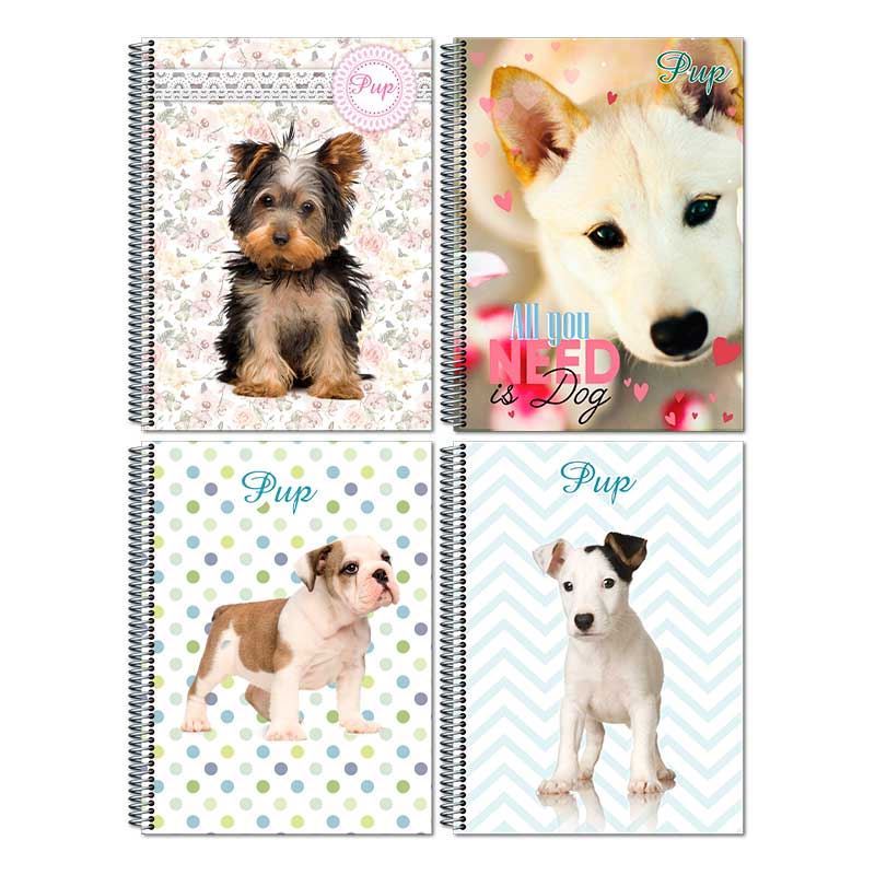 Caderno universitário menina Pup Cachorro 96 folhas 1 matéria capa dura Máxima em Oferta na Shopee