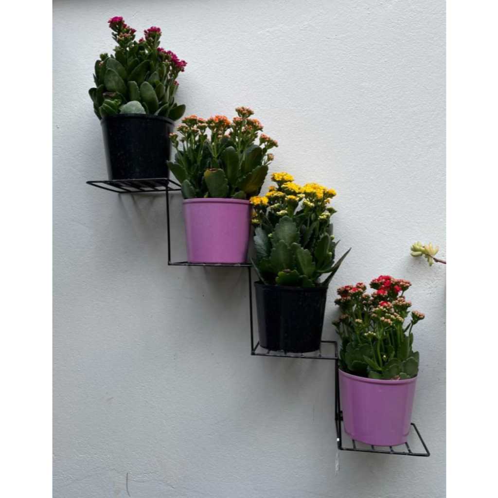 Suporte de Ferro para Plantas Flores Suculentas modelo Escadinha 60x15 cm em Oferta na Shopee