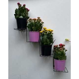 Suporte de Ferro para Plantas Flores Suculentas modelo Escadinha 60x15 cm em Oferta na Shopee