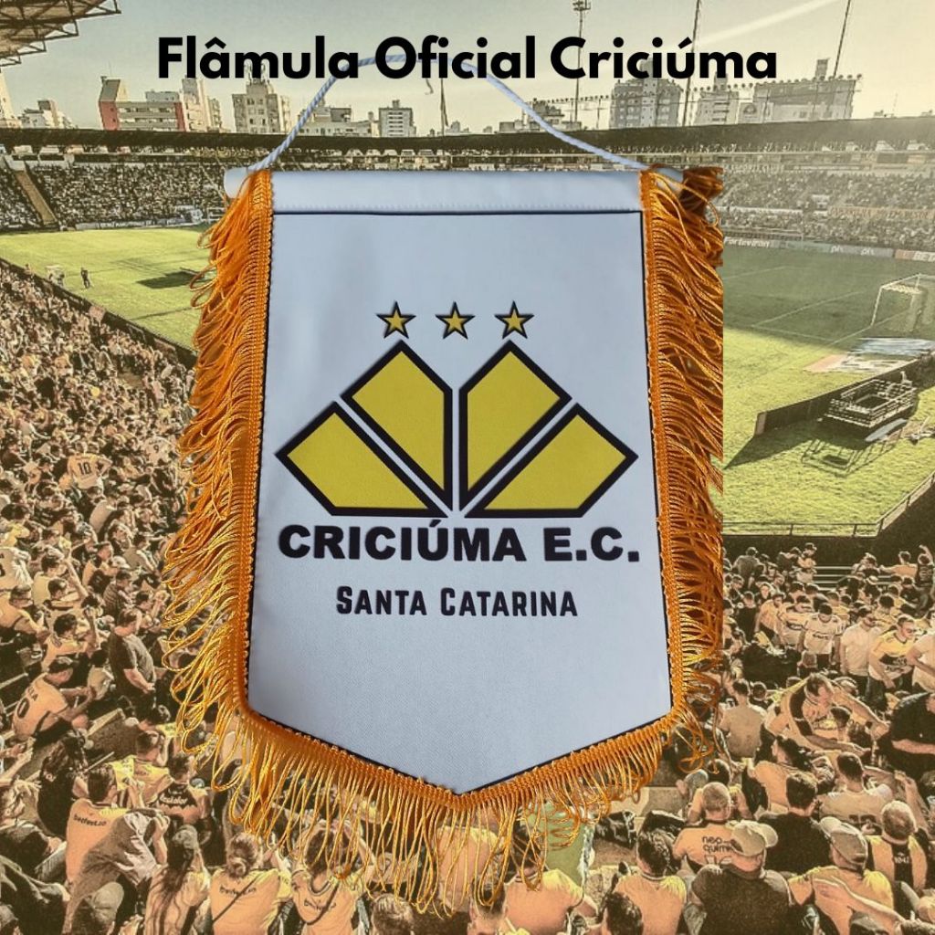 Flâmula Oficial Criciúma 20x30cm