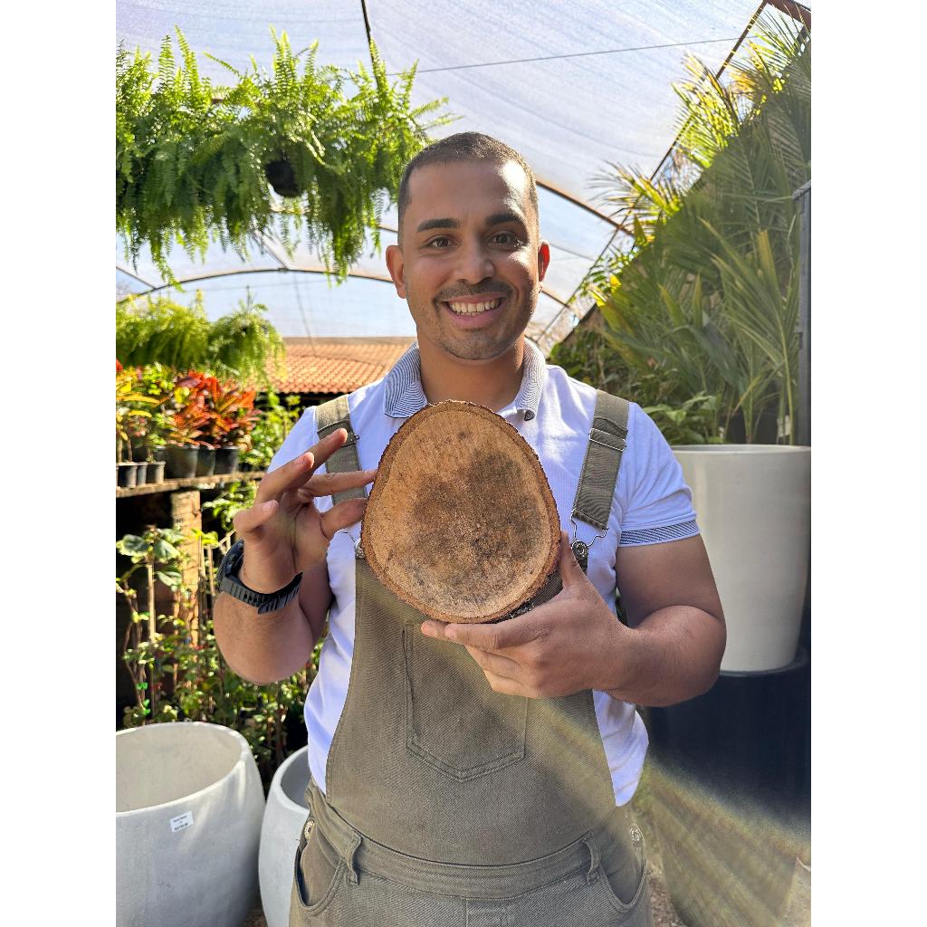 Suporte de Madeira para Orquideas: Onde Comprar | BuscaProdutos