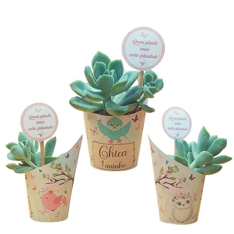 Lembrancinhas Para Aniversário - Rótulo para Suculenta Tag Personalizado - Papelaria Criativa