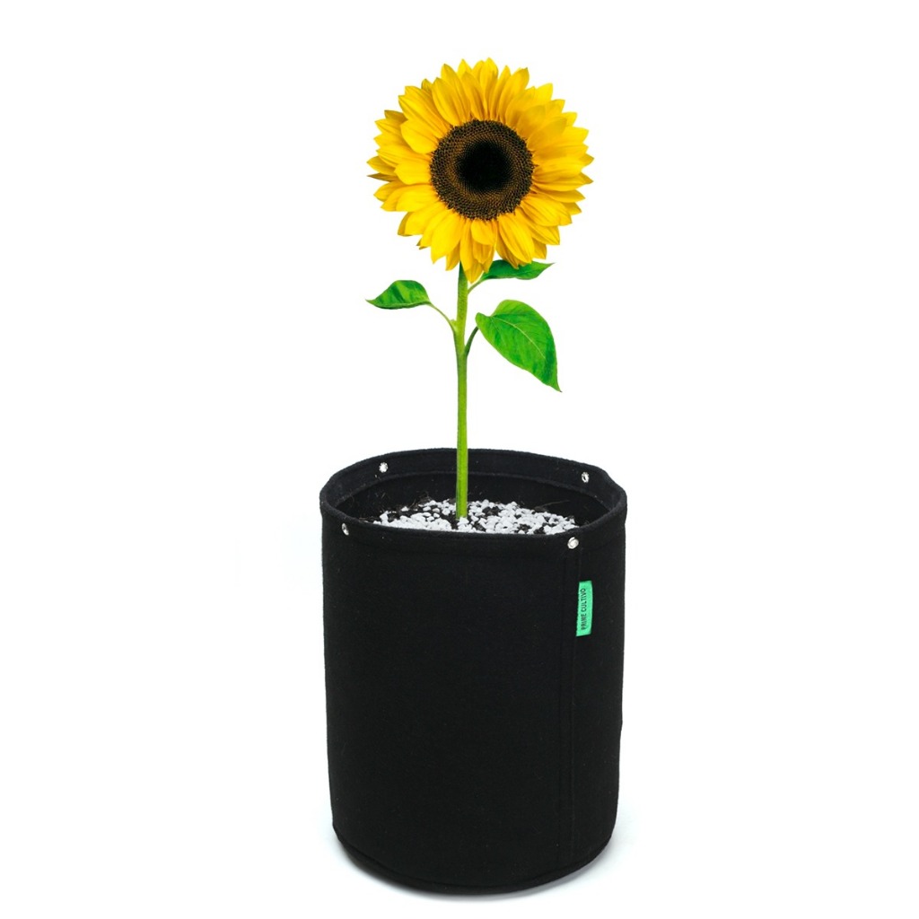 kit 2 vasos de 10 litros em feltro prime cultivo com furos para amarras