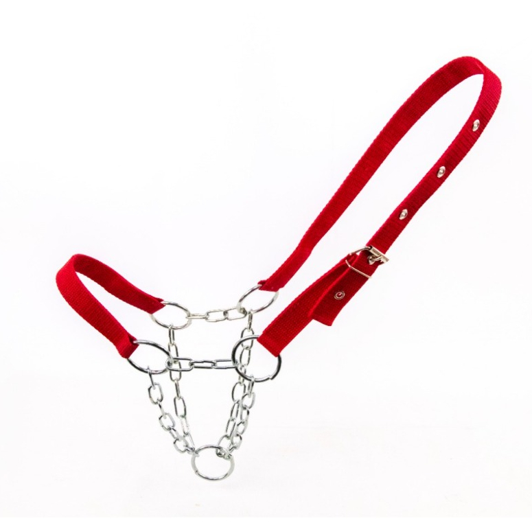 Cabresto de Fita para Bezerros com Corrente de 5 Argolas Ferro Envio Imediato!! em Oferta na Shopee