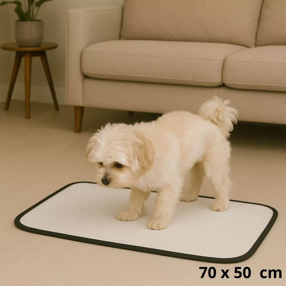 Tapete higiênico lavável para cães, lavável, 01 UN. cachorro/ Pet não vaza xixi