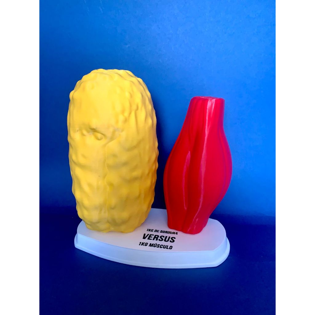 [O MAIS BARATO+ENVIO RÁPIDO!] Modelo Anatômico 1 Kg Músculo x 1 Kg Gordura - Comparação - Removivél - 3D