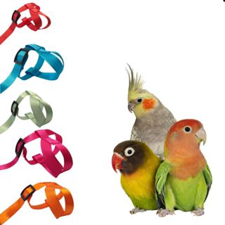 Kit Coleira e Guia Peitoral Ajustável Para Calopsitas Agapornis 1 metro em Oferta na Shopee