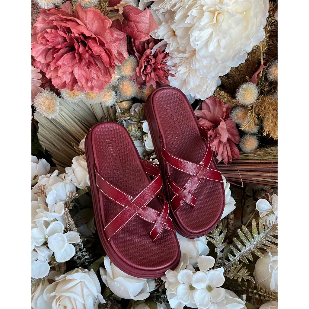 Nova Moleca Turim Entrelaçada 5556.101 Original com Caixa Estilosa Casual Moleca 2026