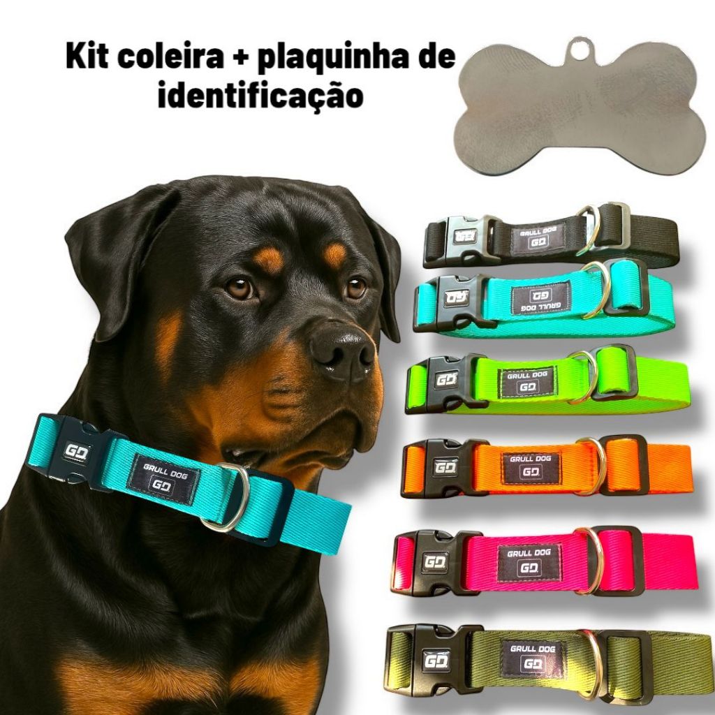 coleira para cachorro + plaquinha de identificação pet reforçada com trava  ajustável em Oferta na Shopee