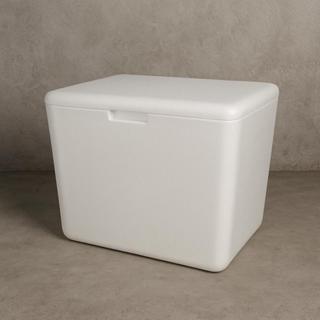 Caixa de ISOPOR ENTREGAS 45 lts para BAGS motoboy SEM LAMINAÇÃO em Oferta na Shopee