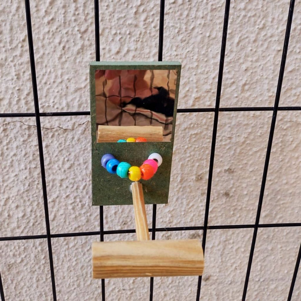 Poleiro Espelho Para Gaiola Passaros Aves Calopsita Periquito Rinq Neck