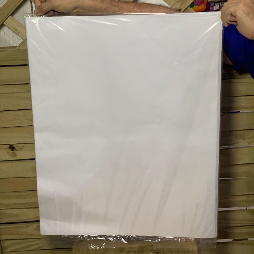 Papel de Seda Liso 48cmx60cm Pacote Com 100fls Branco