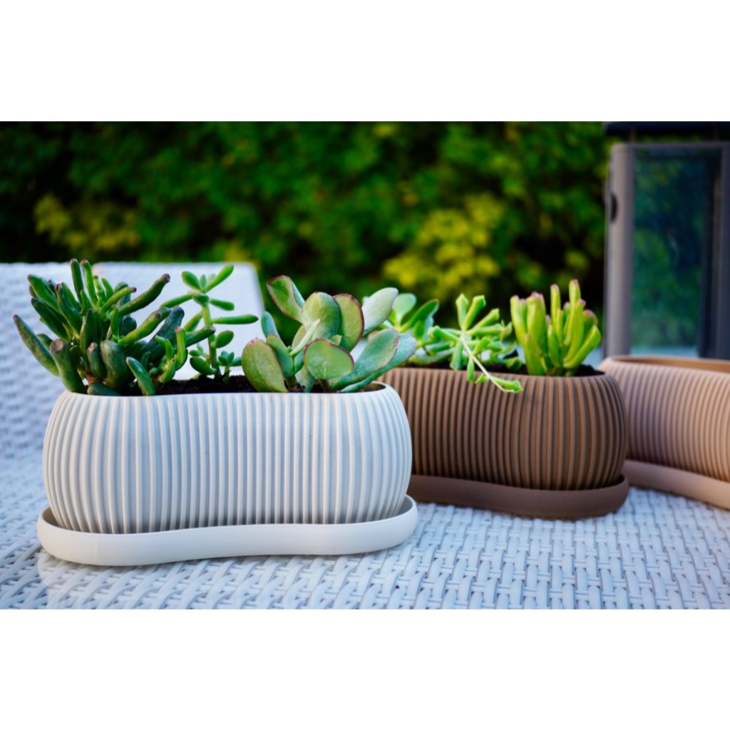 Vaso Cachepô para Suculentas e Cactos – Moderno Minimalista | Decorativo Plantas | TerraPlanter em Oferta na Shopee