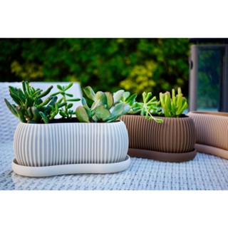Vaso Cachepô para Suculentas e Cactos – Moderno Minimalista | Decorativo Plantas | TerraPlanter em Oferta na Shopee