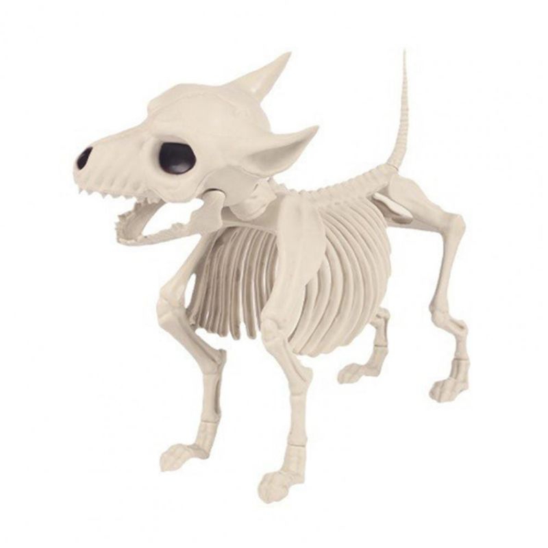 Esqueleto Cachorro: Onde Comprar | BuscaProdutos