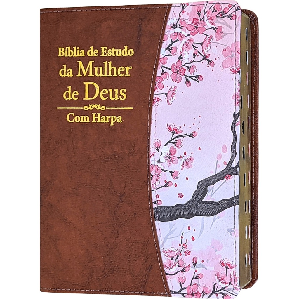 Bíblia de Estudo Colorida: Onde Comprar | BuscaProdutos