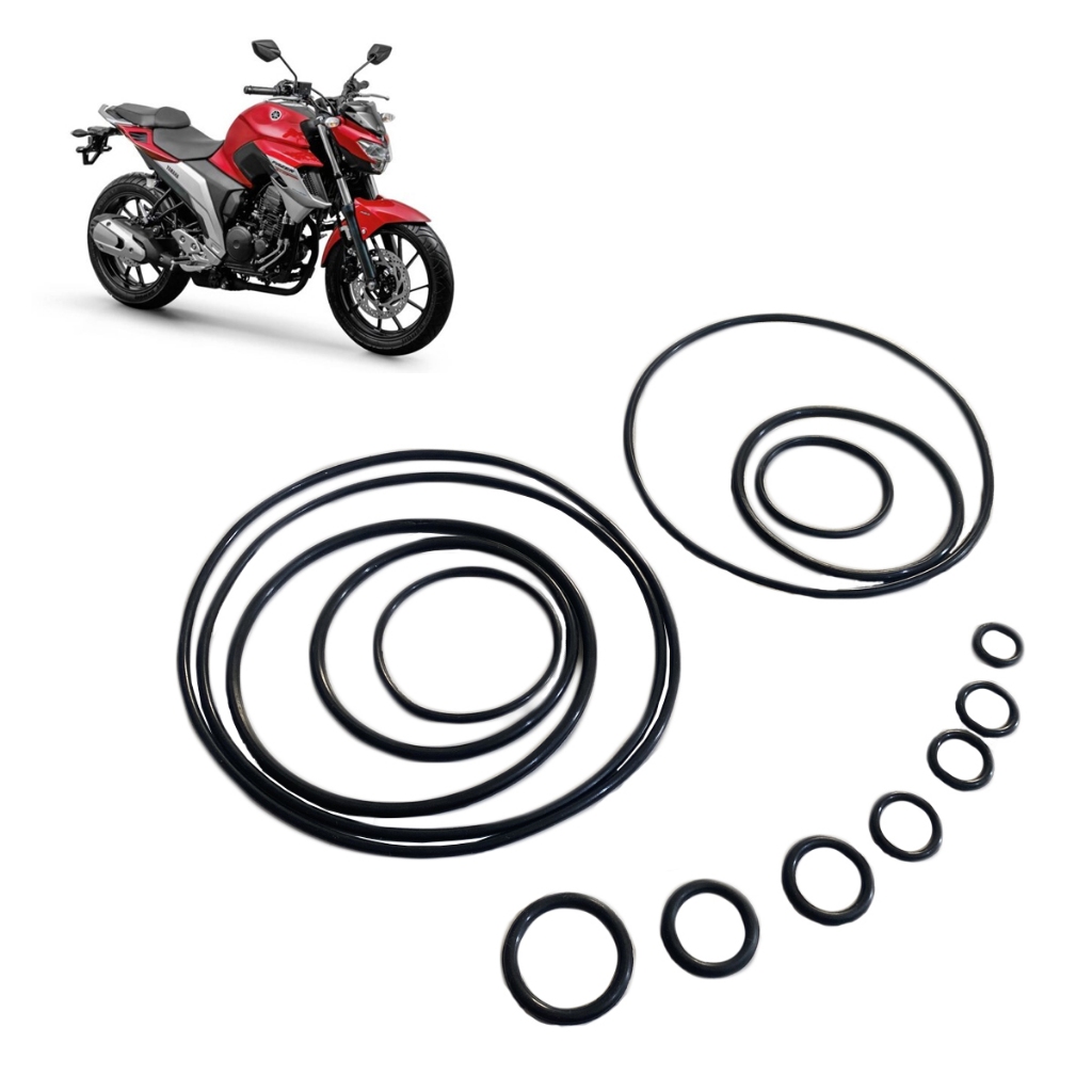 Kit Anel Oring Vedação Motor Fazer 250 / Xtz 250 Lander 15pç.