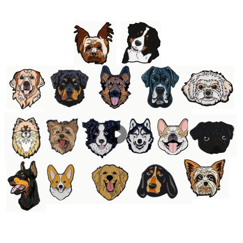 Cão Border Collie: Onde Comprar | BuscaProdutos