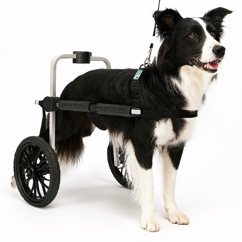 Cadeira de Rodas para Cachorro Grande na Black Friday 2025 | BuscaProdutos