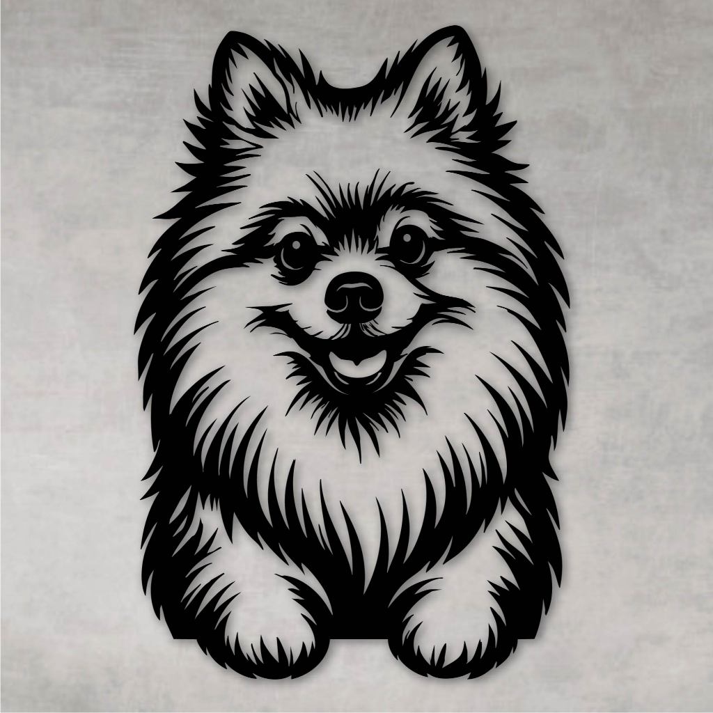 Spitz Alemão Preto: Onde Comprar | BuscaProdutos