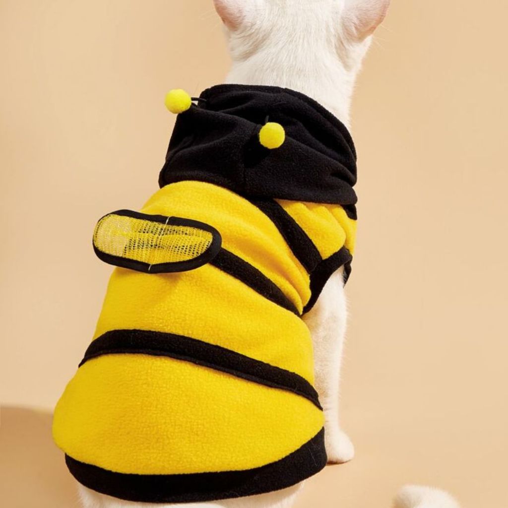 Fantasia pet abelinha gato e cachorro